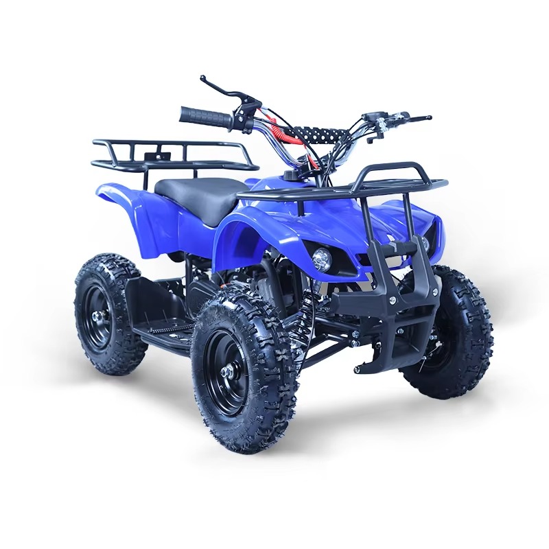 49cc Mini ATV Kids Quad Bike 2 - Kids Outdoor Quad 评论和价格